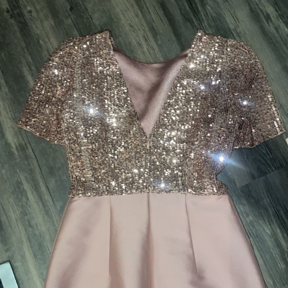 Sachin + Babi Margot Gown in blush. Size 2 - Picture 8 of 13